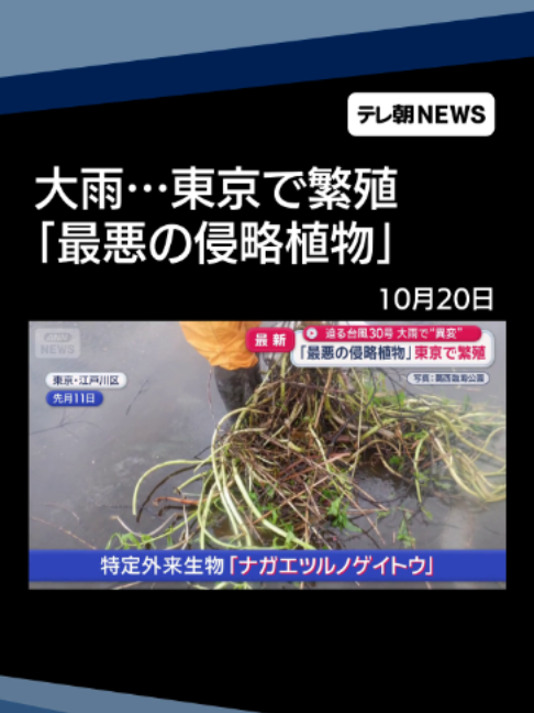 @テレ朝NEWS【公式】