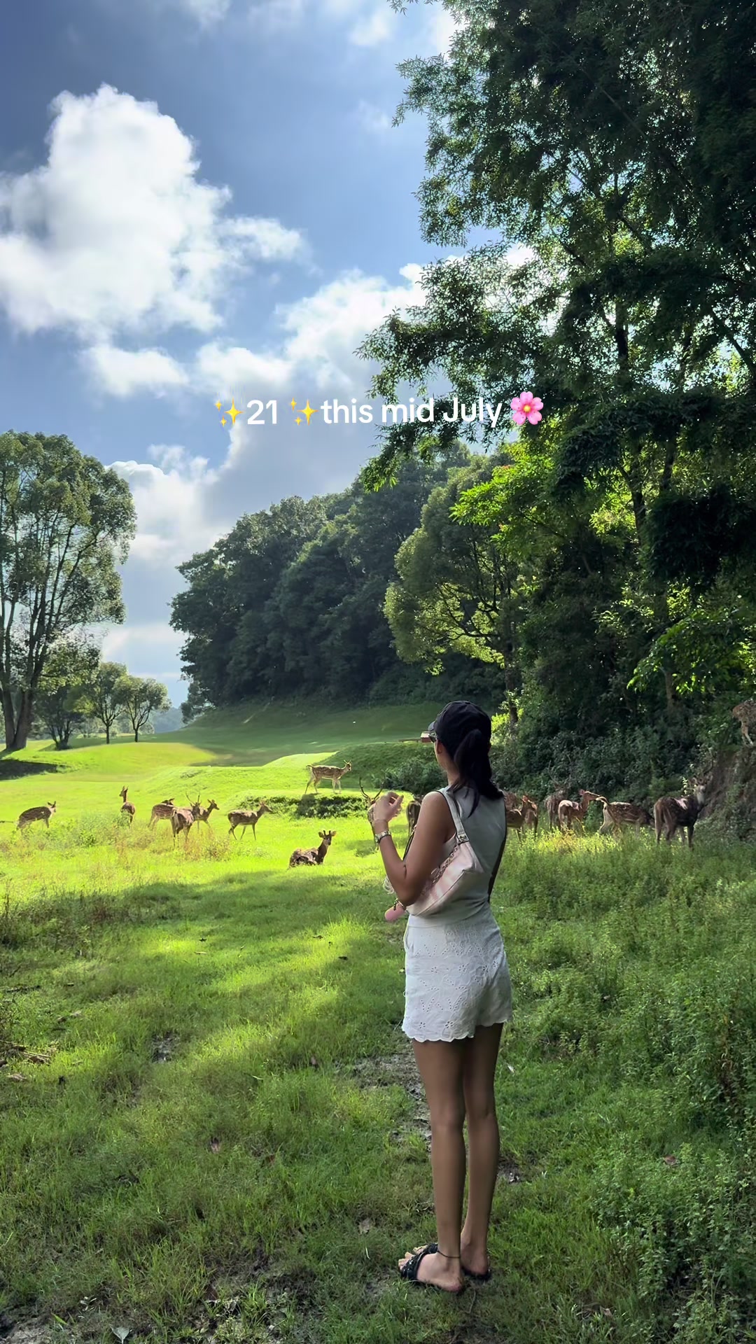 @Dikshya Xettri🦋