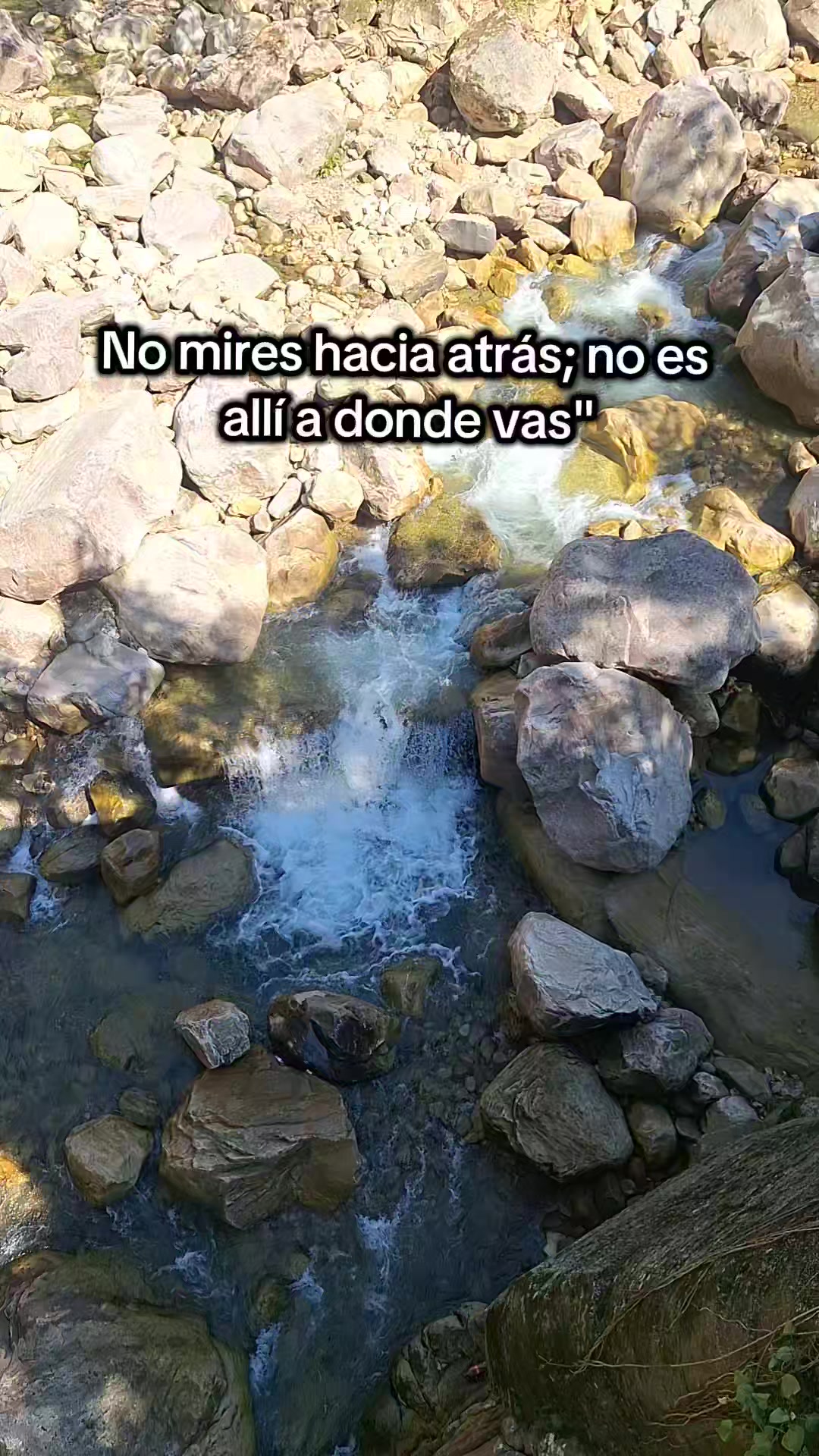 @Geovanny Patiño