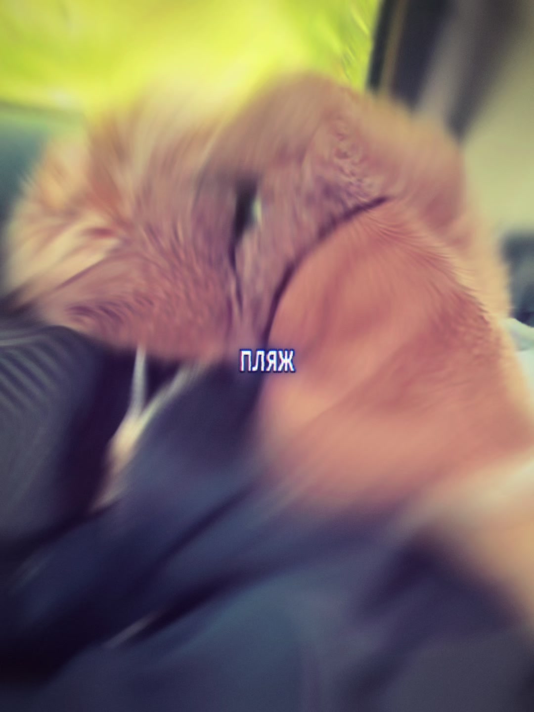 @˚₊‧꒰ა⸰𝙼𝚎𝚕𝚞𝚛𝚒˚໒꒱ ‧₊˚ ┆ᴘᴅʙ