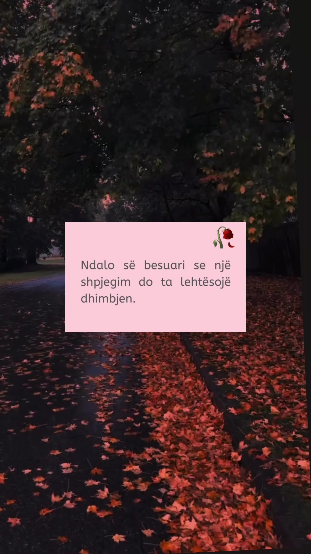 @Thenje&ensp;Per&ensp;Jeten🥀