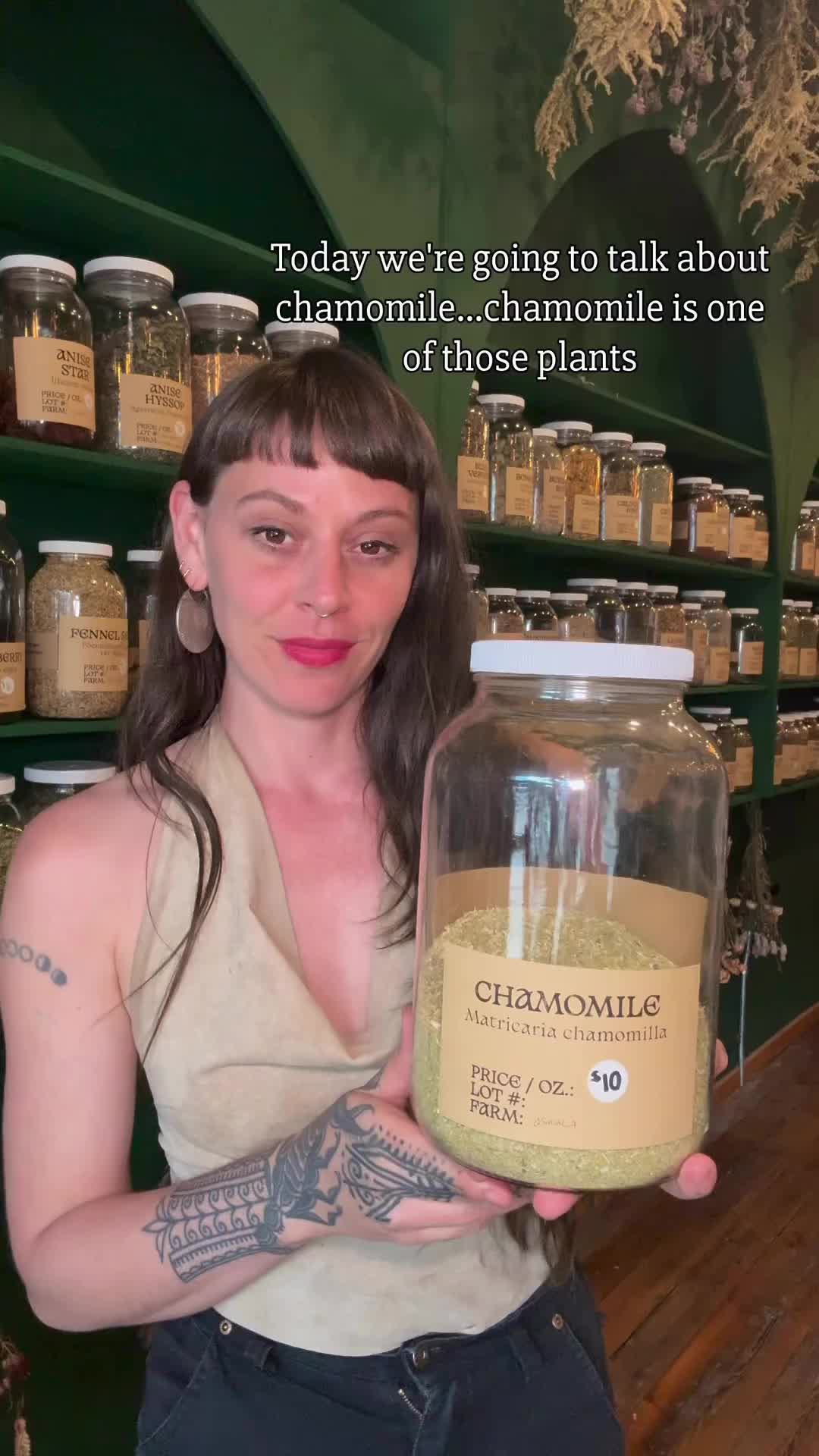 @bloodroot.apothecary