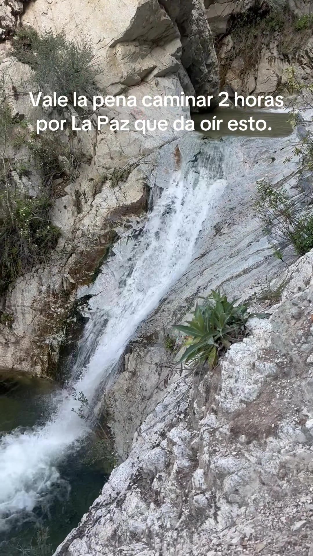 @Ame de ram
