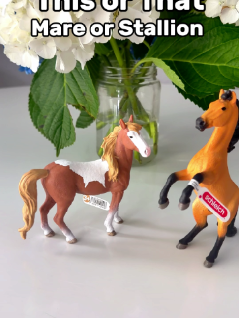 @Schleich Horse Club