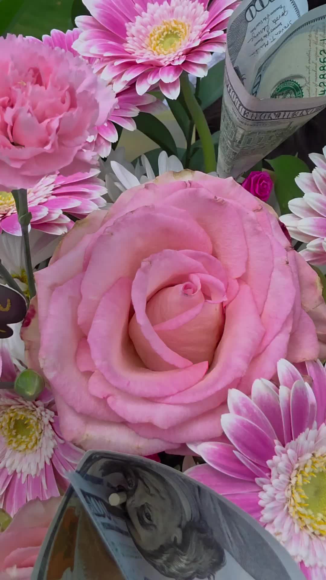 @Marsida
