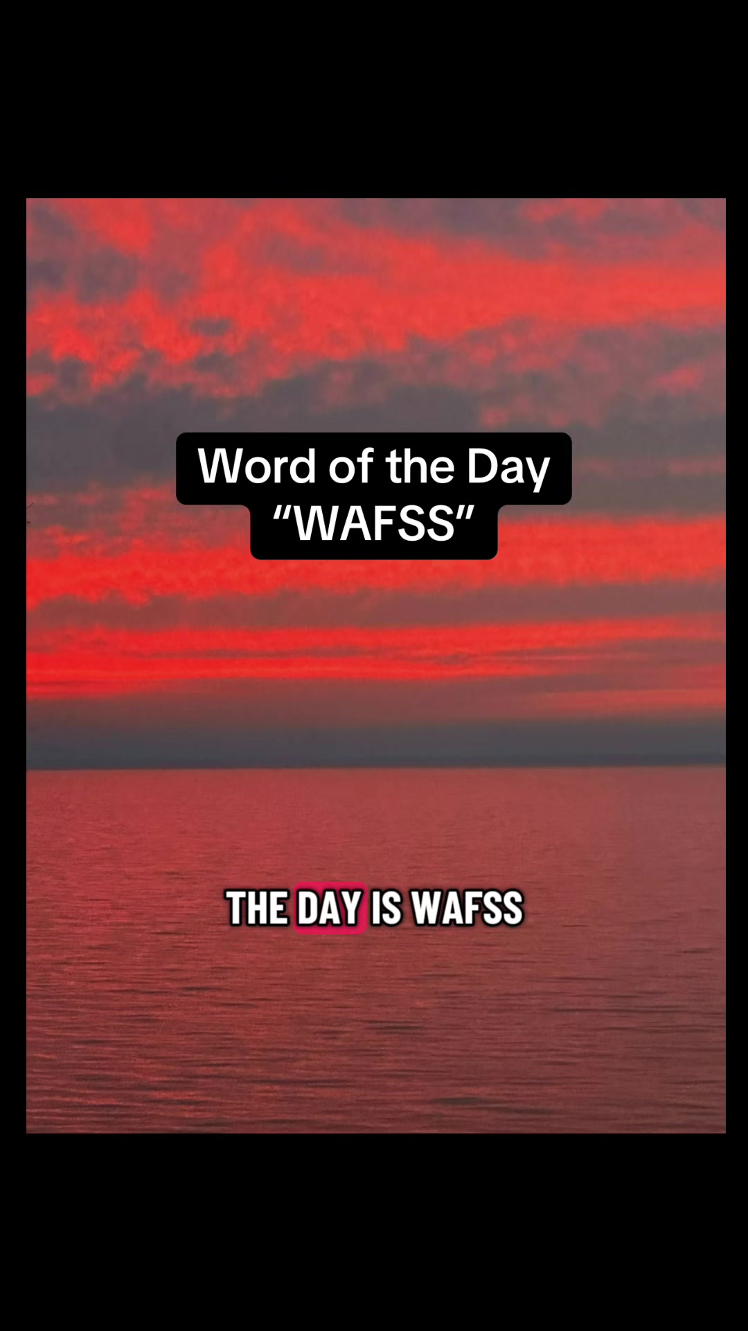 @❌wagsonthewater❌