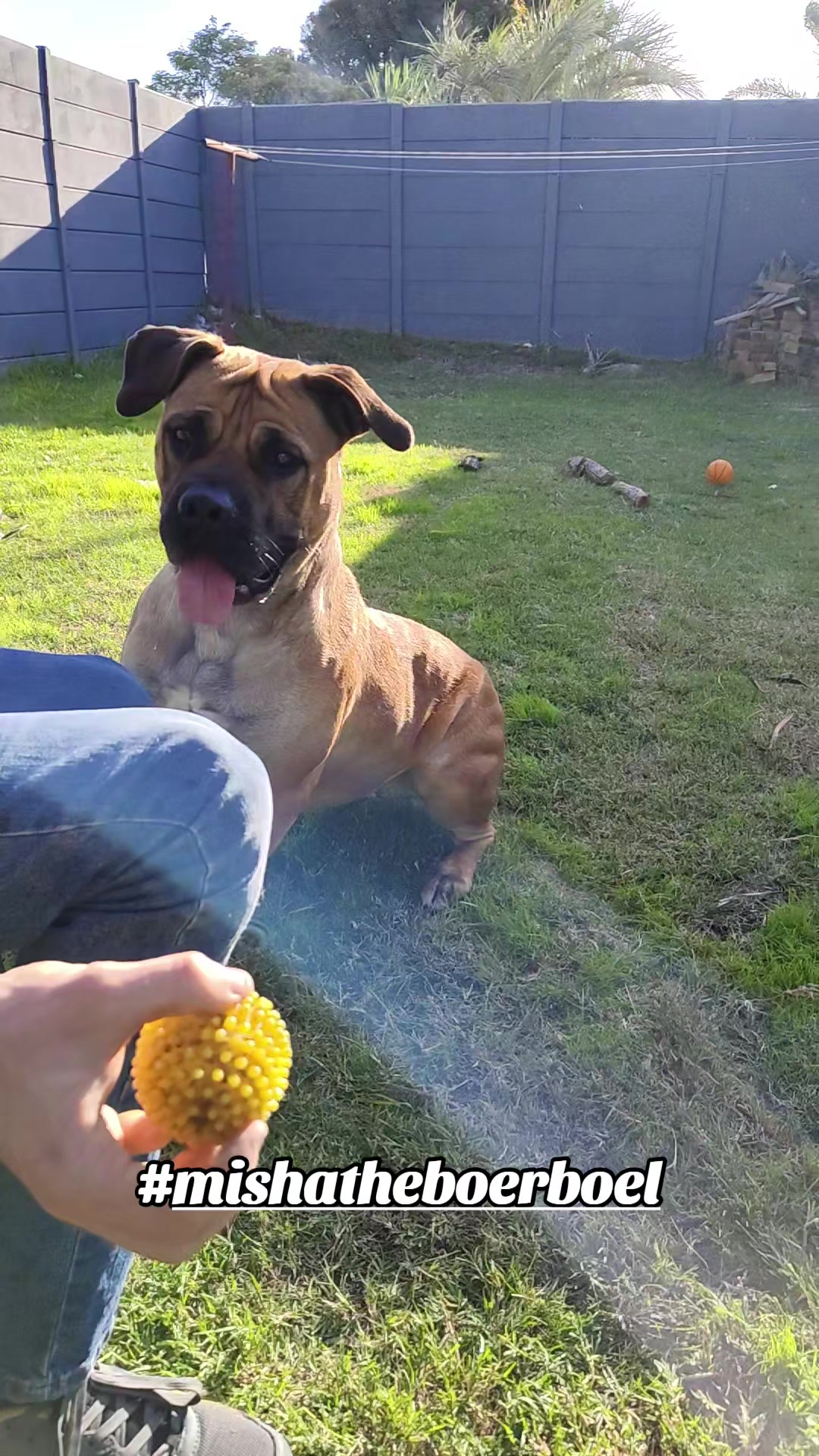 @Mishatheboerboel