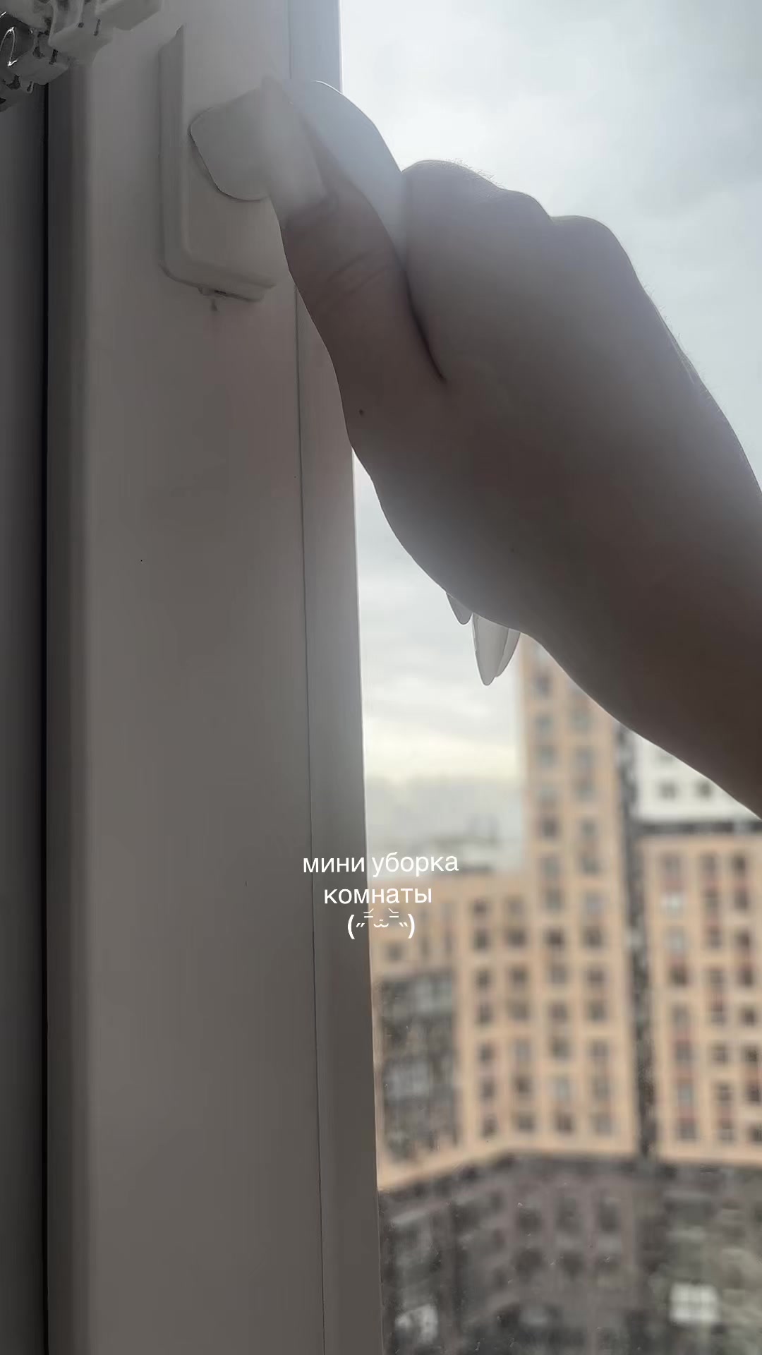 @(_ _).｡o○