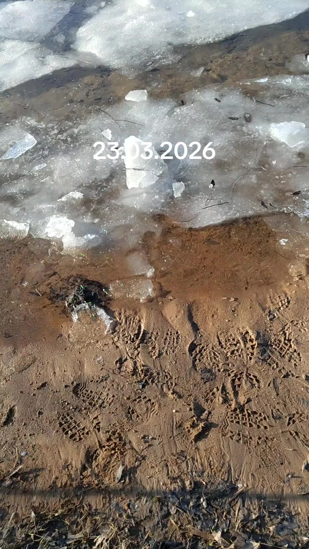@рыб@чок