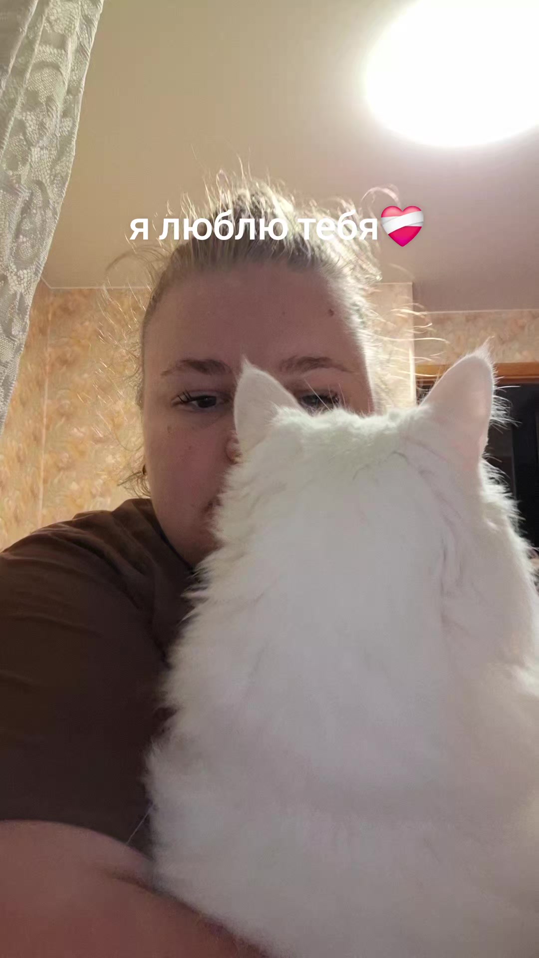 @Дошик