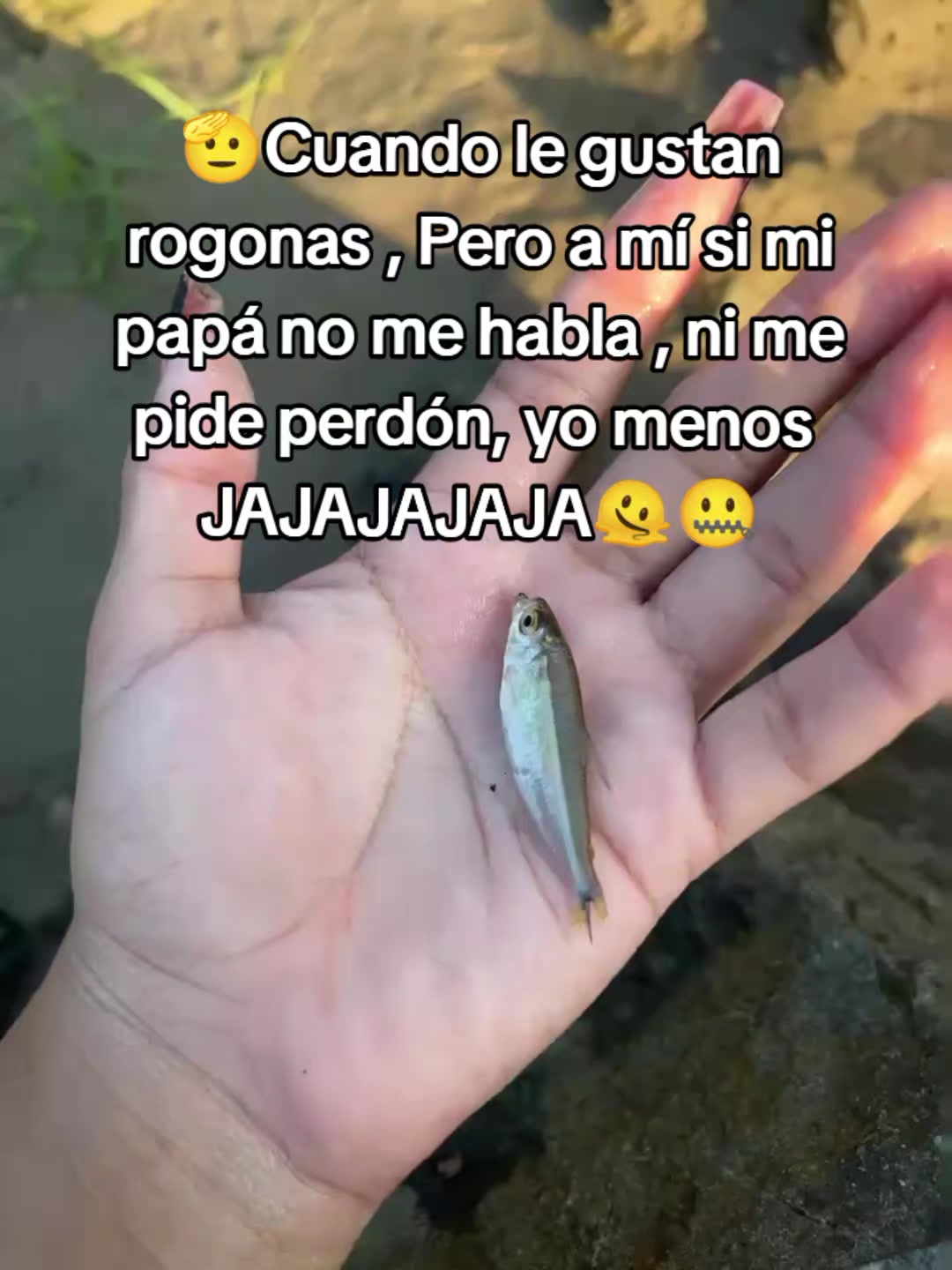 @Lili❣️