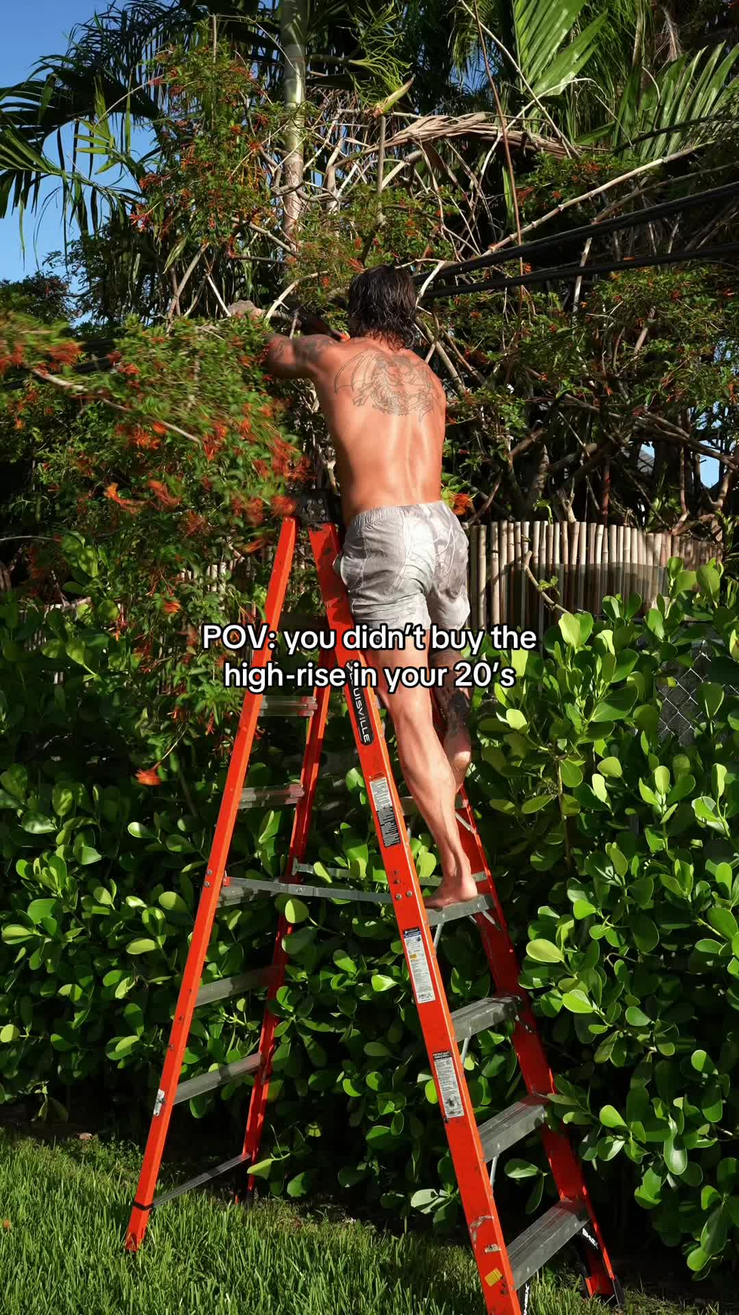 @Liam Fitzgerald