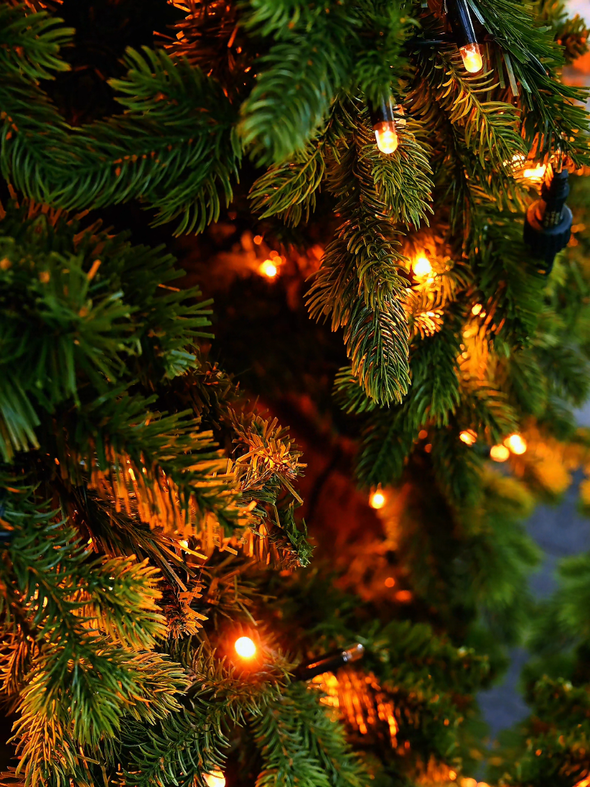 @Timeless Holidays