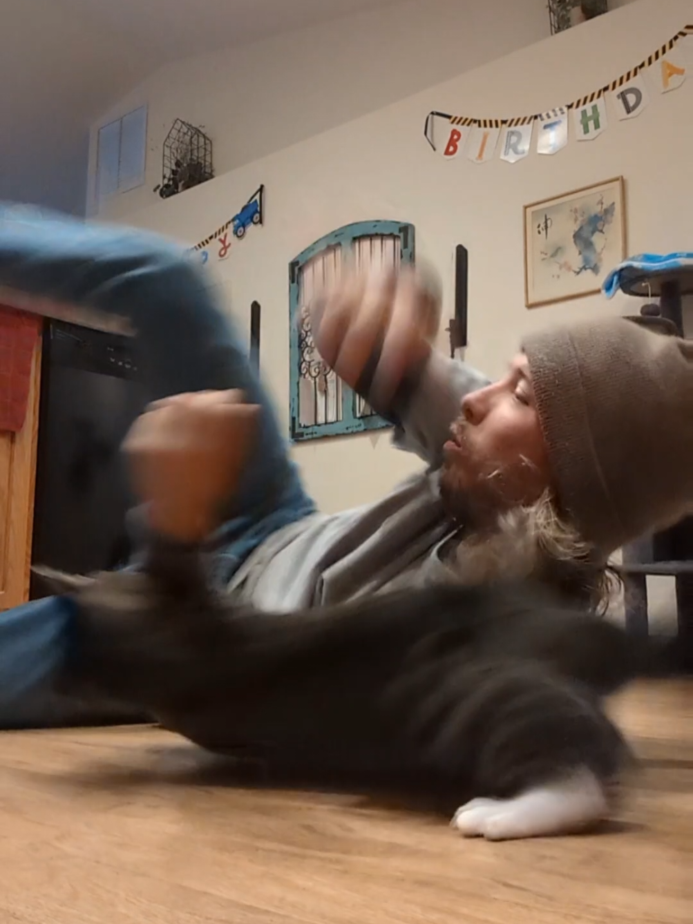 @Rainy the Cat