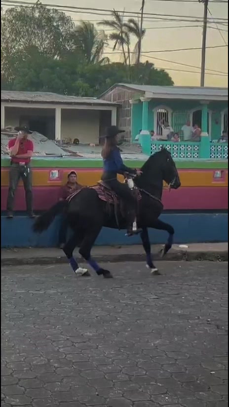 @𝑃𝑎𝑜𝑙𝑎 𝒮🌸