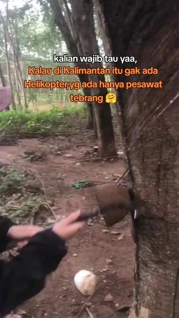 @BANG ARIE 99