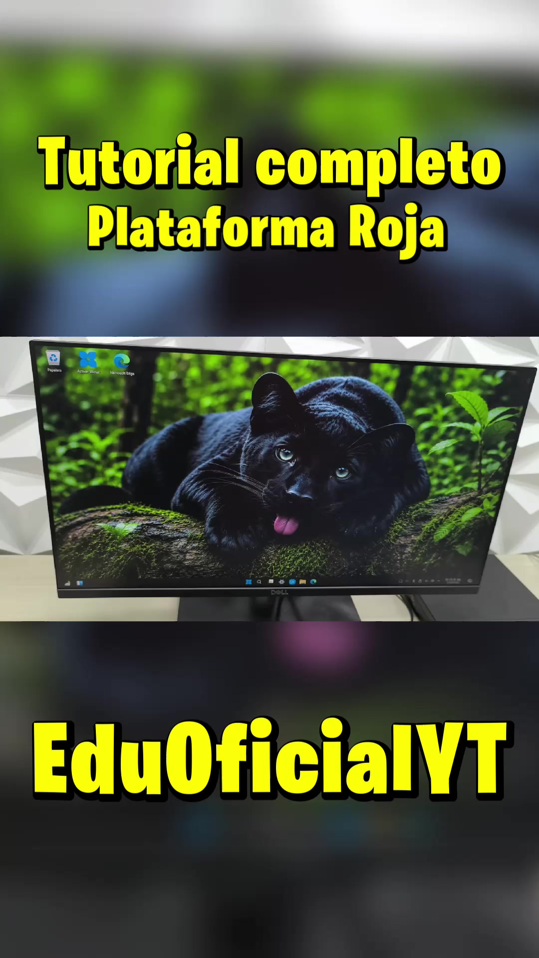 @eduoficialYT