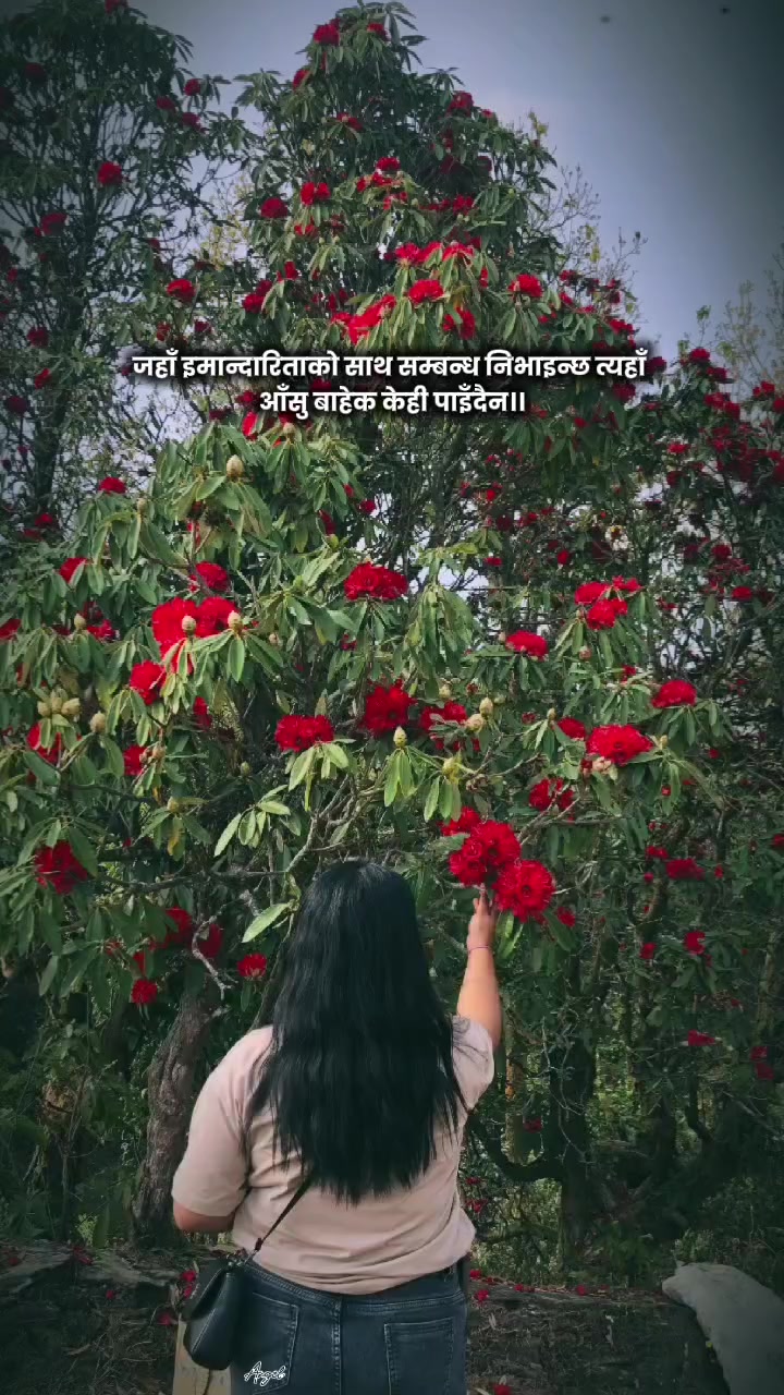 @Aleena Gurung 🌸