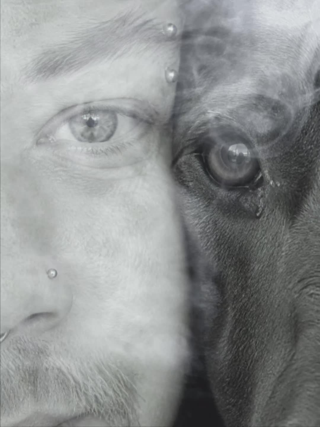 @ღ°°✰𝕵𝖔𝖓𝖆𝖘✰°°ღ