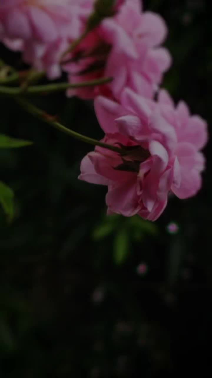 @Thulasi
