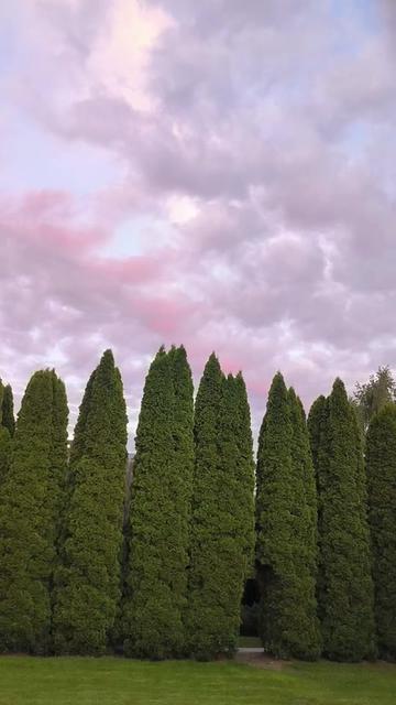 @Сергей