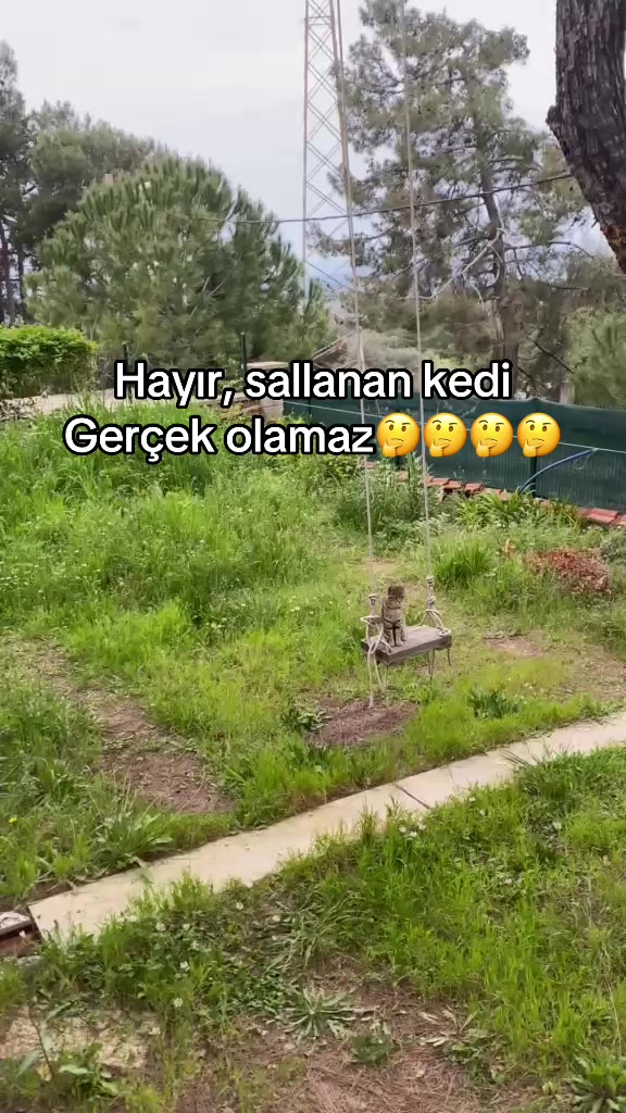 @apoowwk