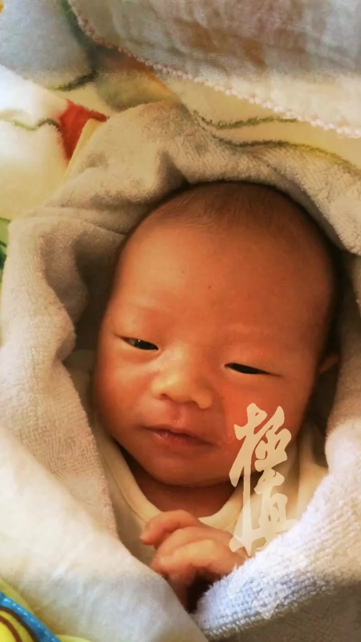 @極真空手　門馬道場
