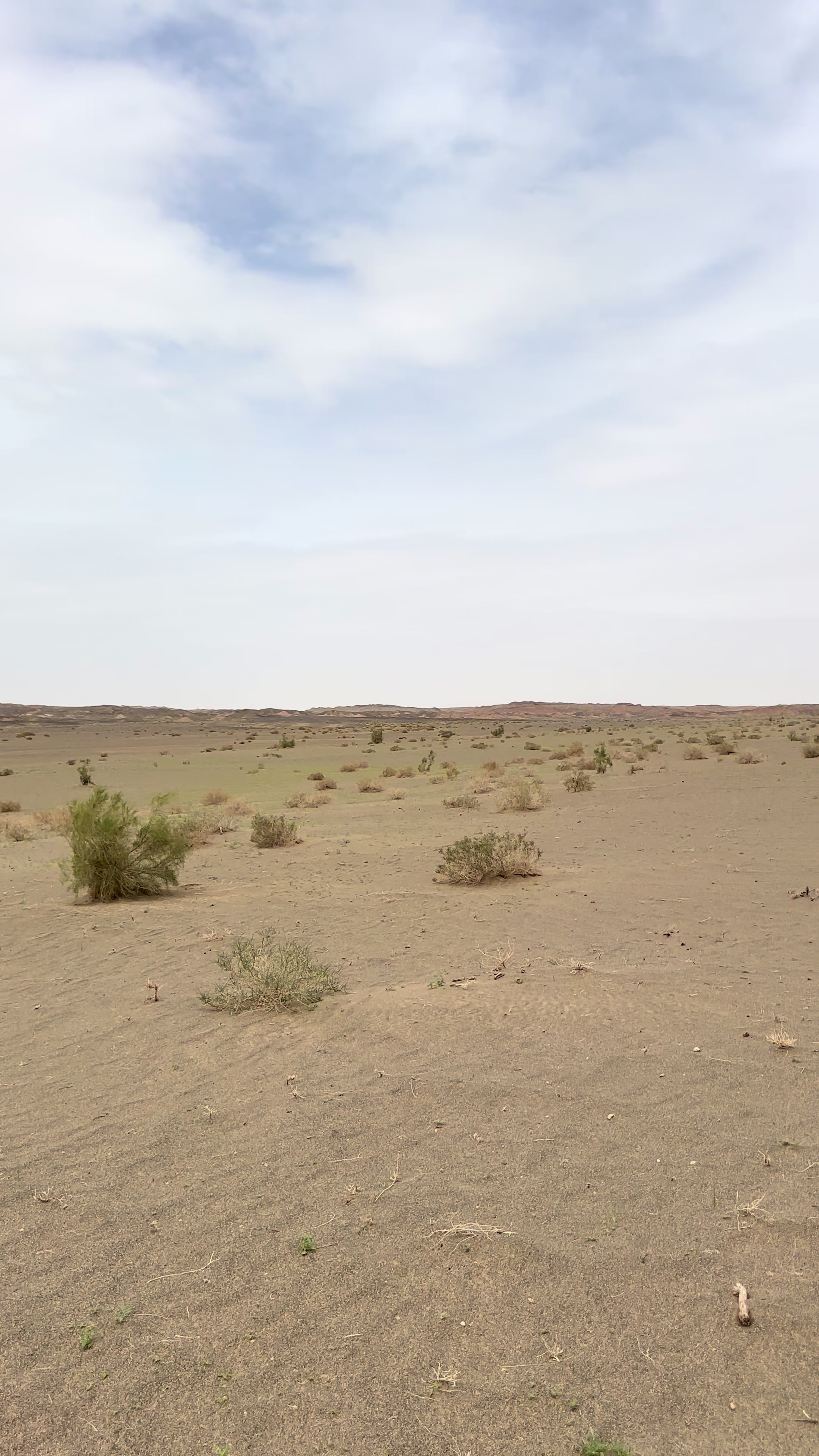 @بلوچستان عشق است 🐪🏜️🪶
