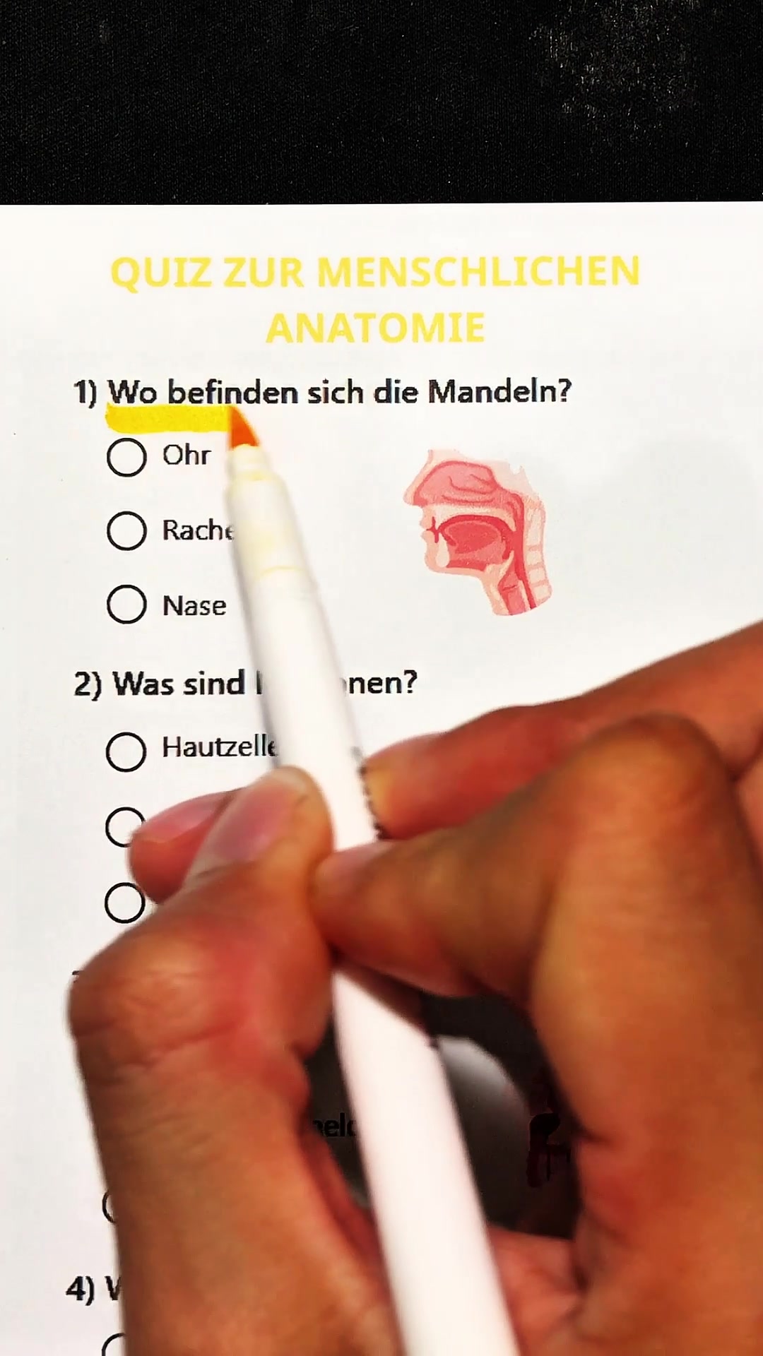 @Exp Quizz
