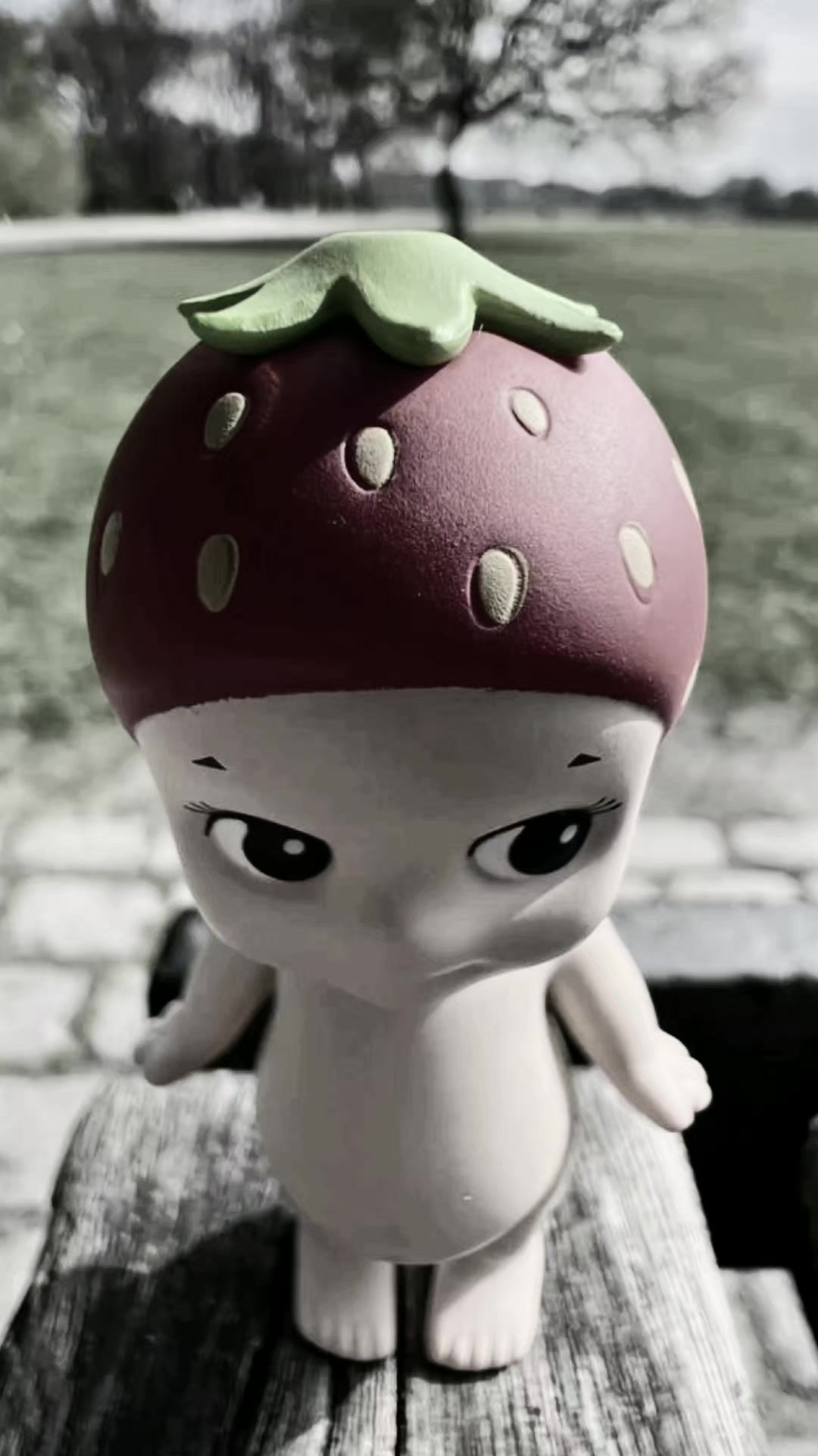 @꘩ 𓊔 sᥲrık&upsilon;ᥣᥲ 𝂅 ࣪🩷 𝂅 ᵎᵎ