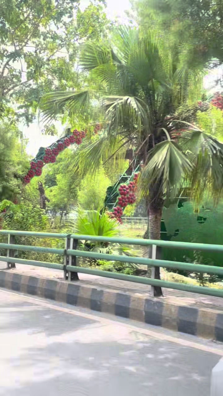 @حریم💐