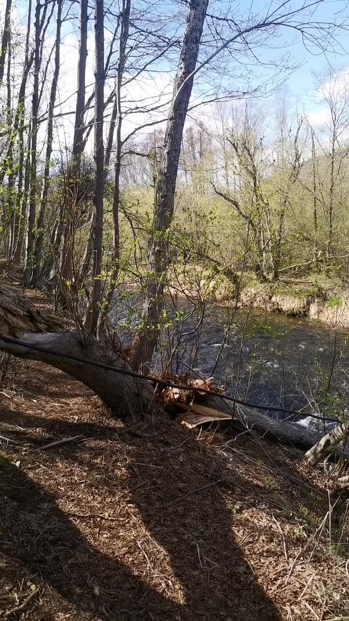 @Юльчик 💜