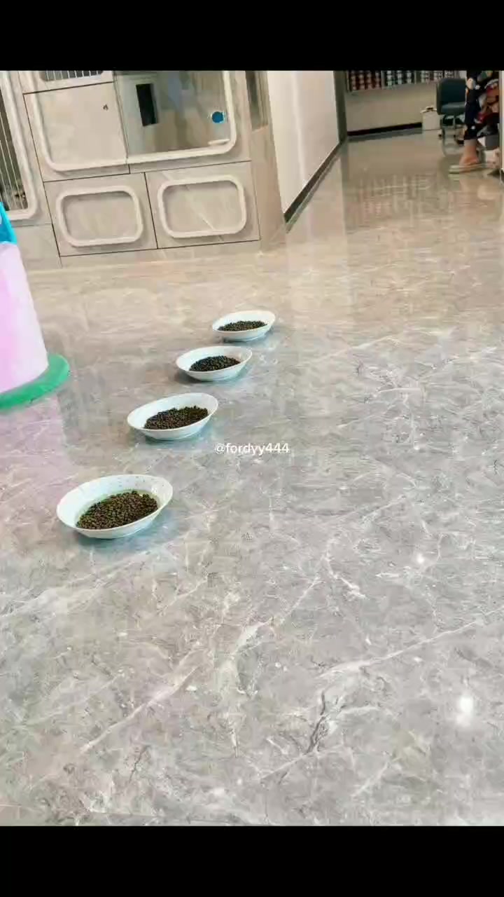 @Fordy. 🥦