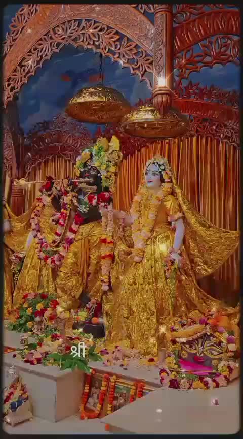 @☘️🪷Anamika 🪷☘️