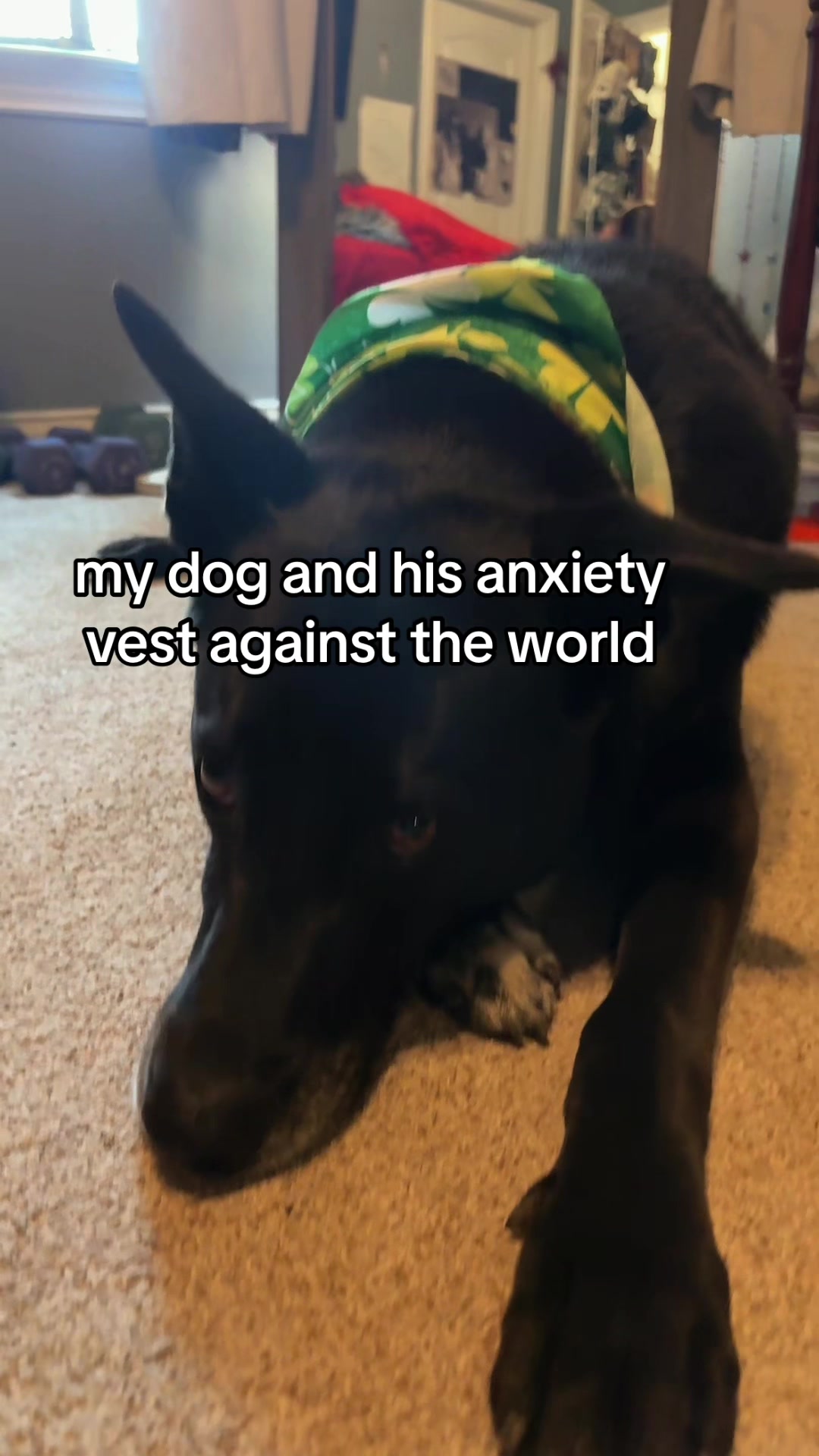 @idontexist