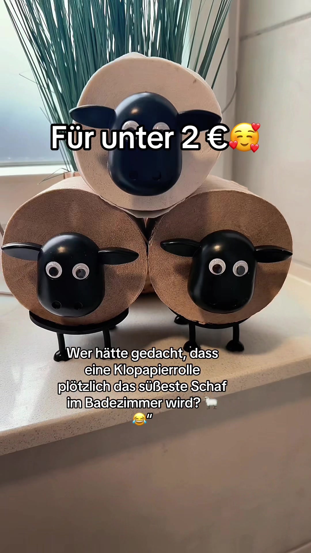 @Flo die Zimmerpflanze 🪴🪴