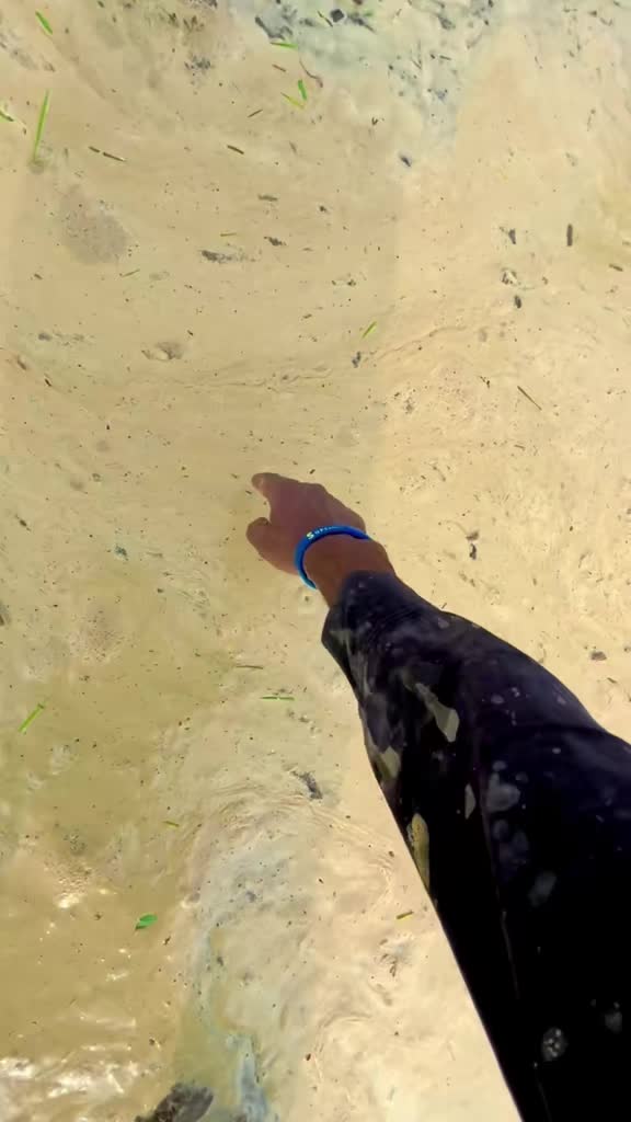 @شانی میو🌱🍁