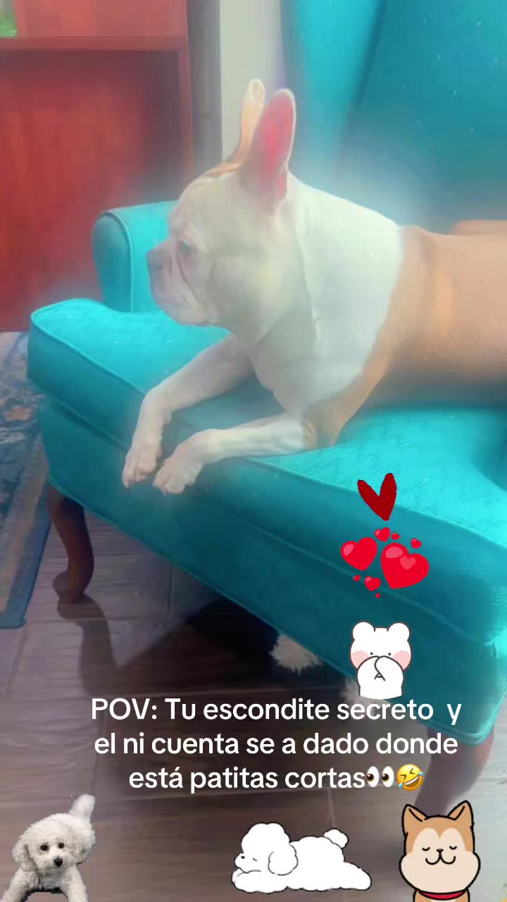 @los3huevertos