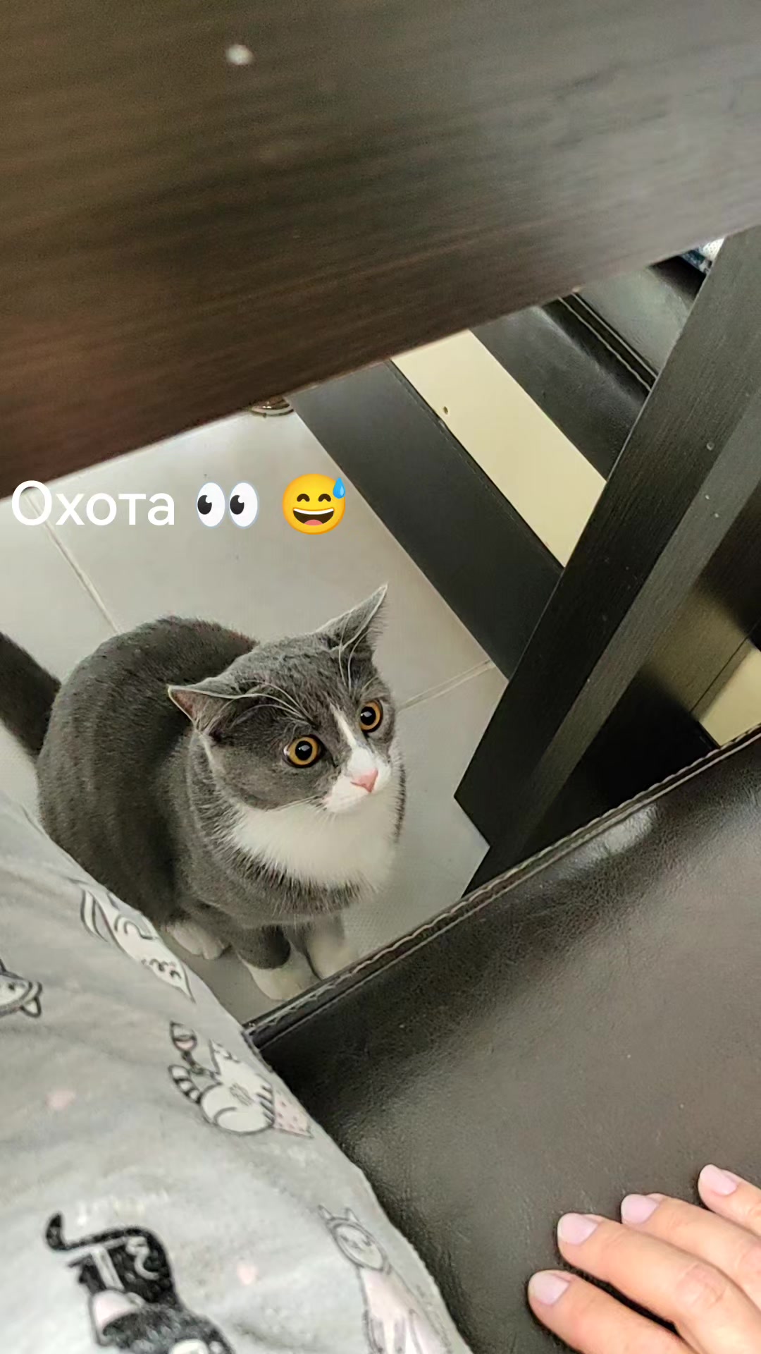 @Lena