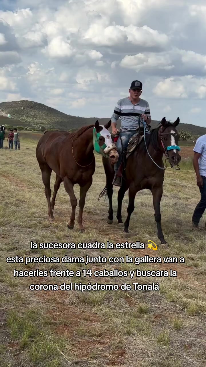 @carriles altos de jalisco🐎