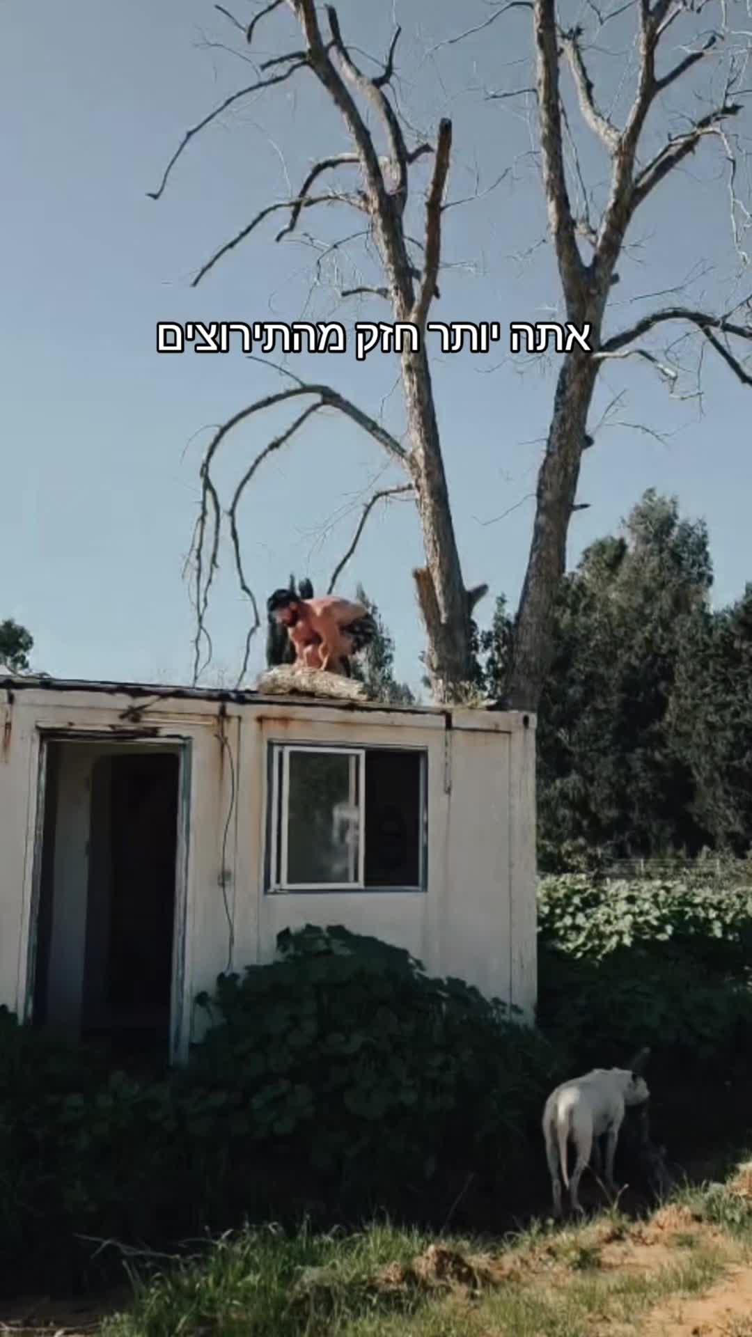 @DIMA MIND FIT מאמן מנטלי
