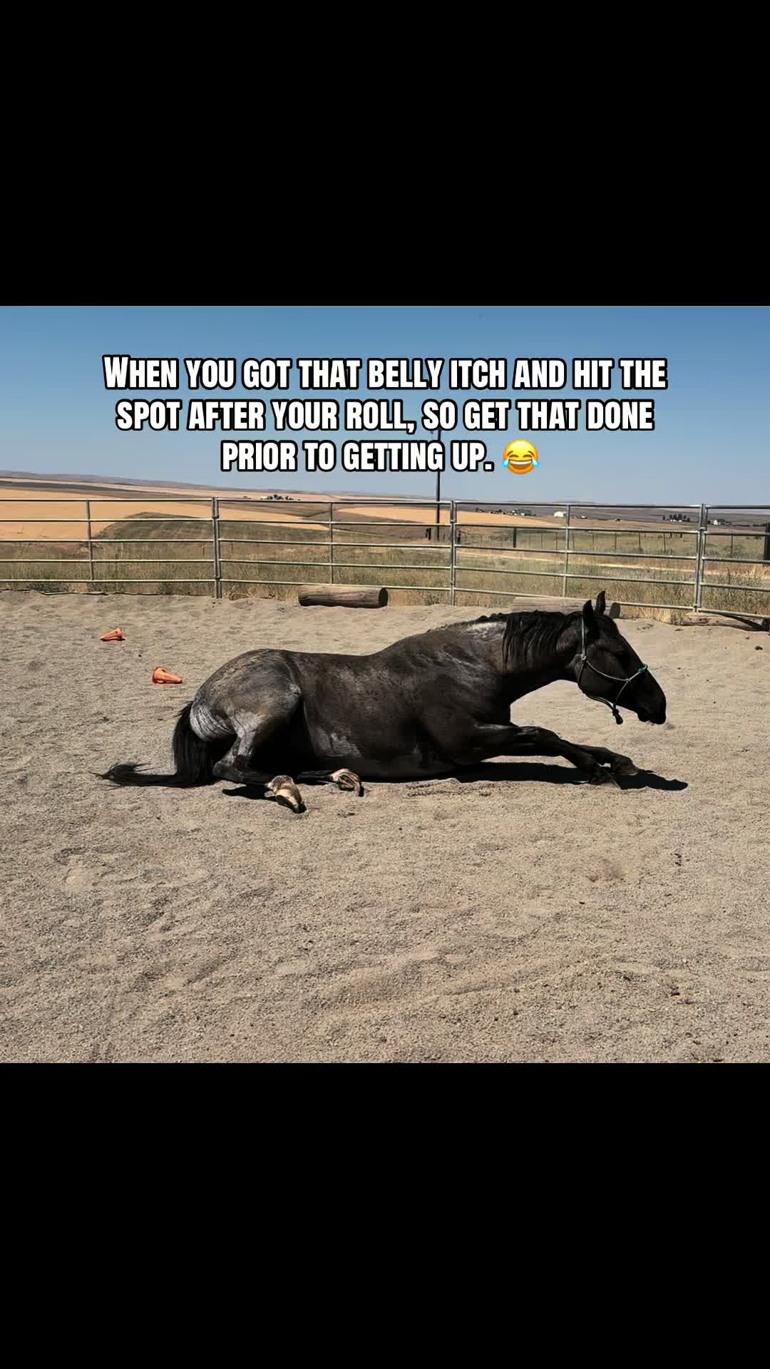 @Cowgirl Tuff Colt Training ❤️