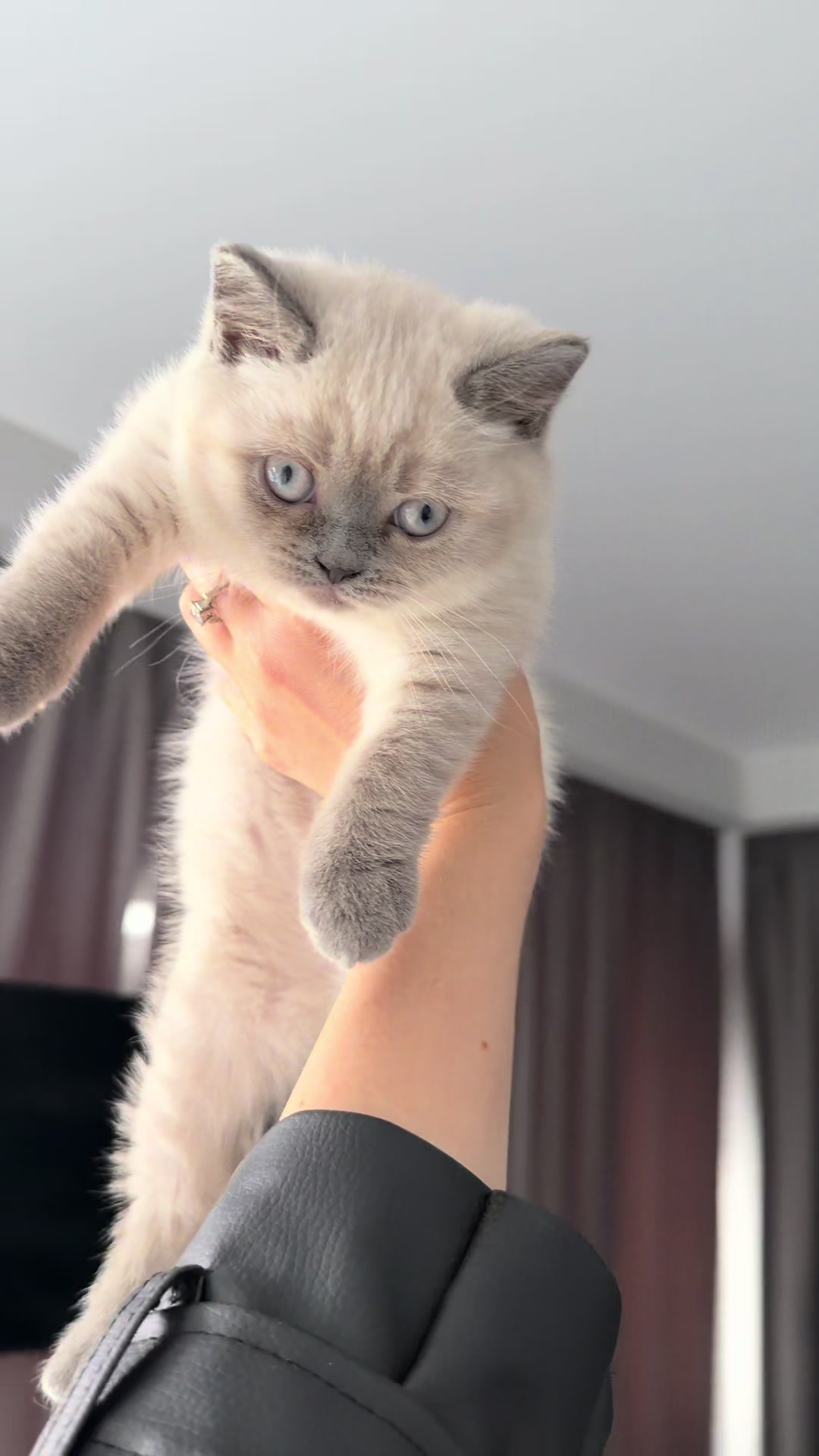 @Трускавецька киця 😻