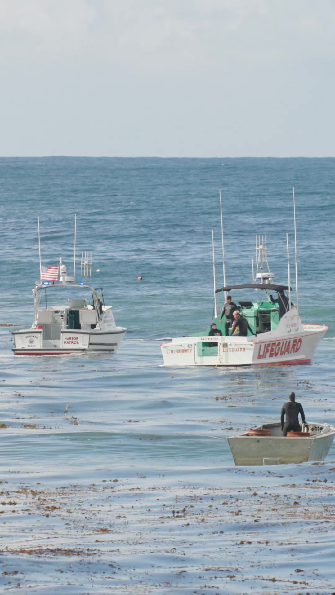 @lacolifeguards
