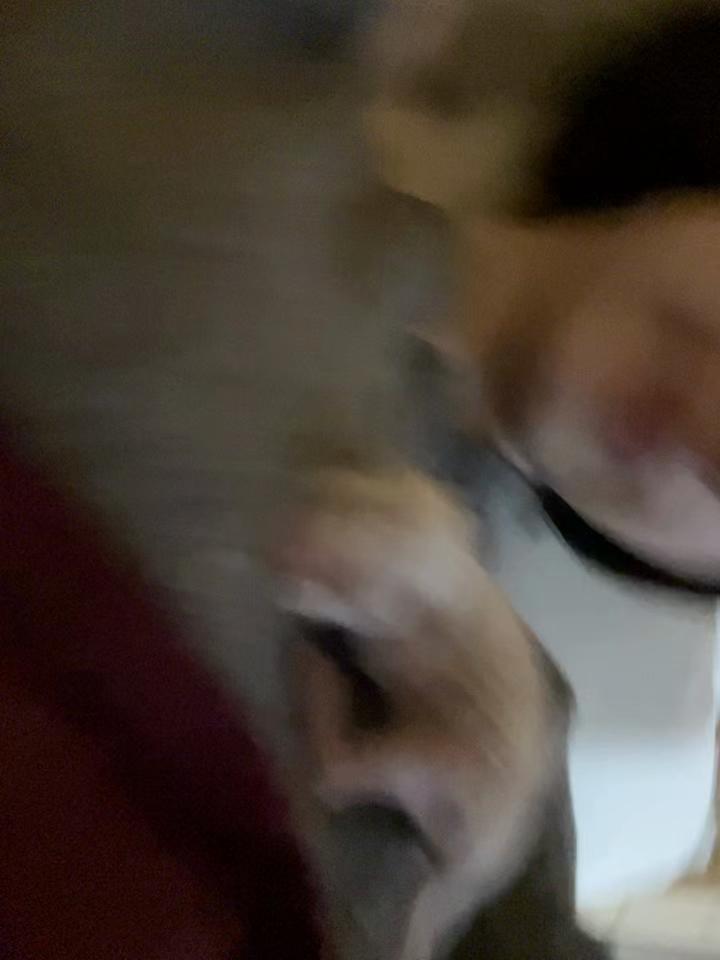 @zisofren
