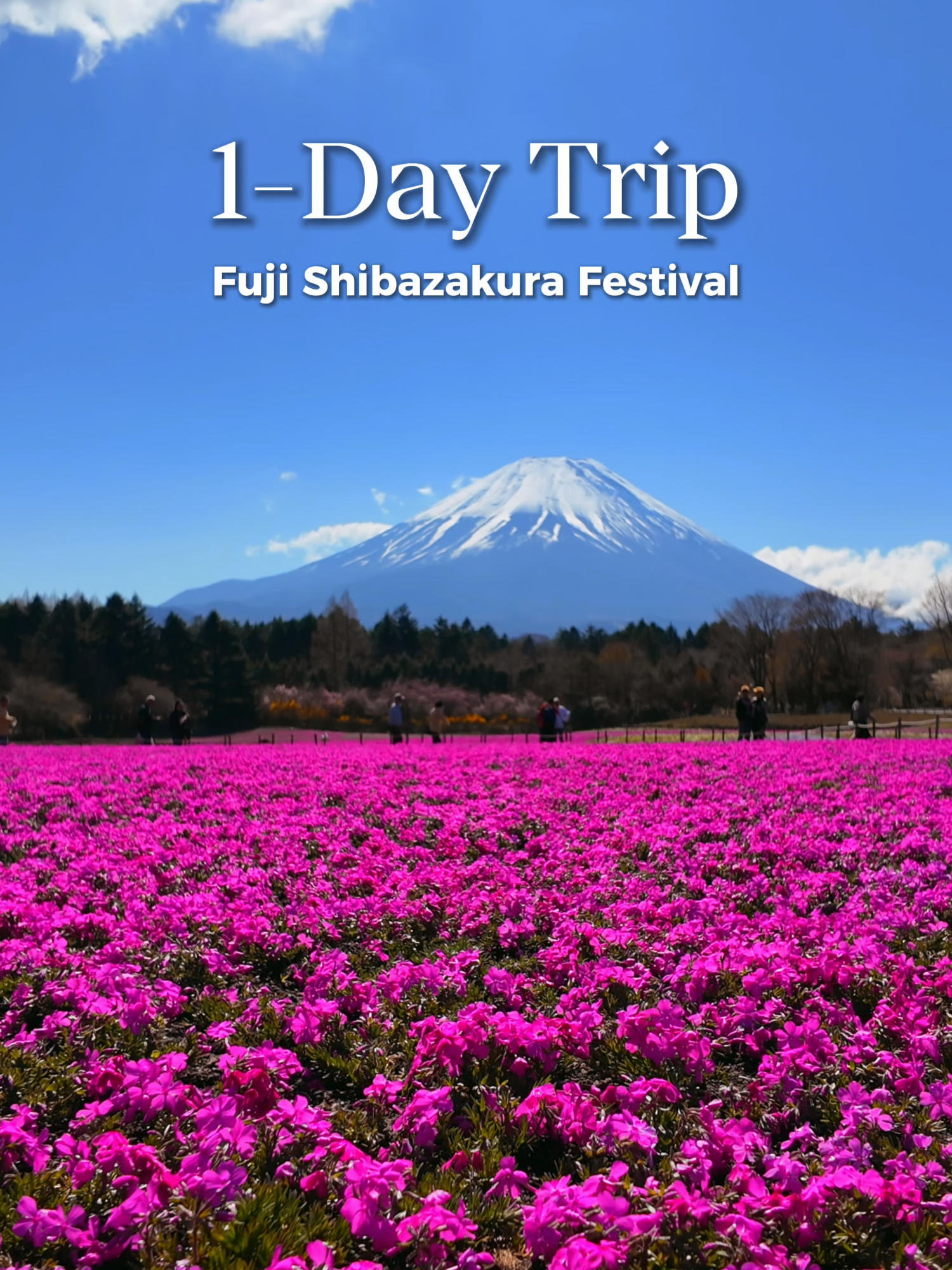 @Yamada | 1-Day Trip To Fuji