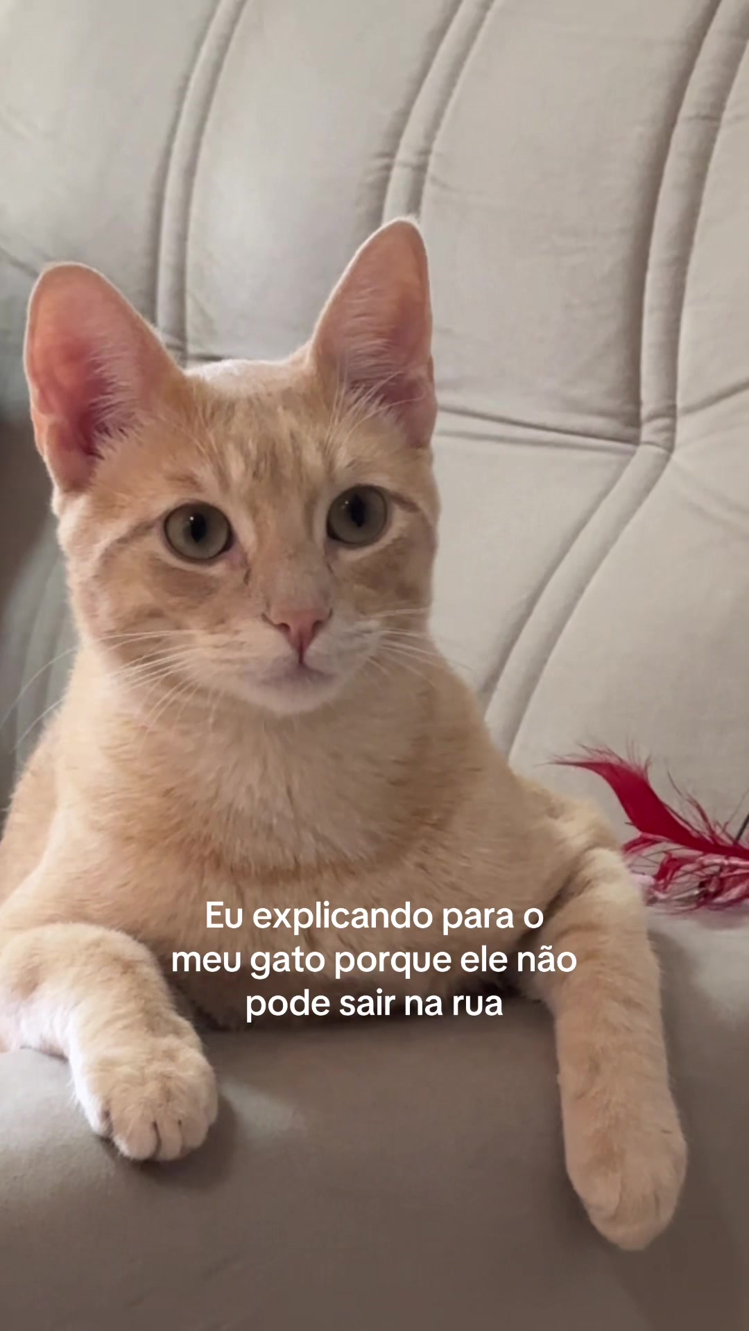 @Mônica Frutuoso