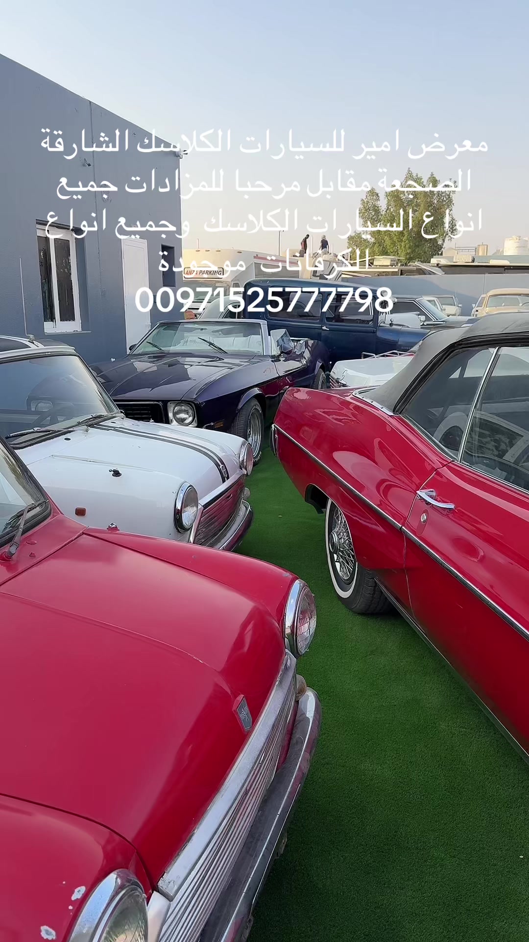 @العربة الذهبية للسيارات