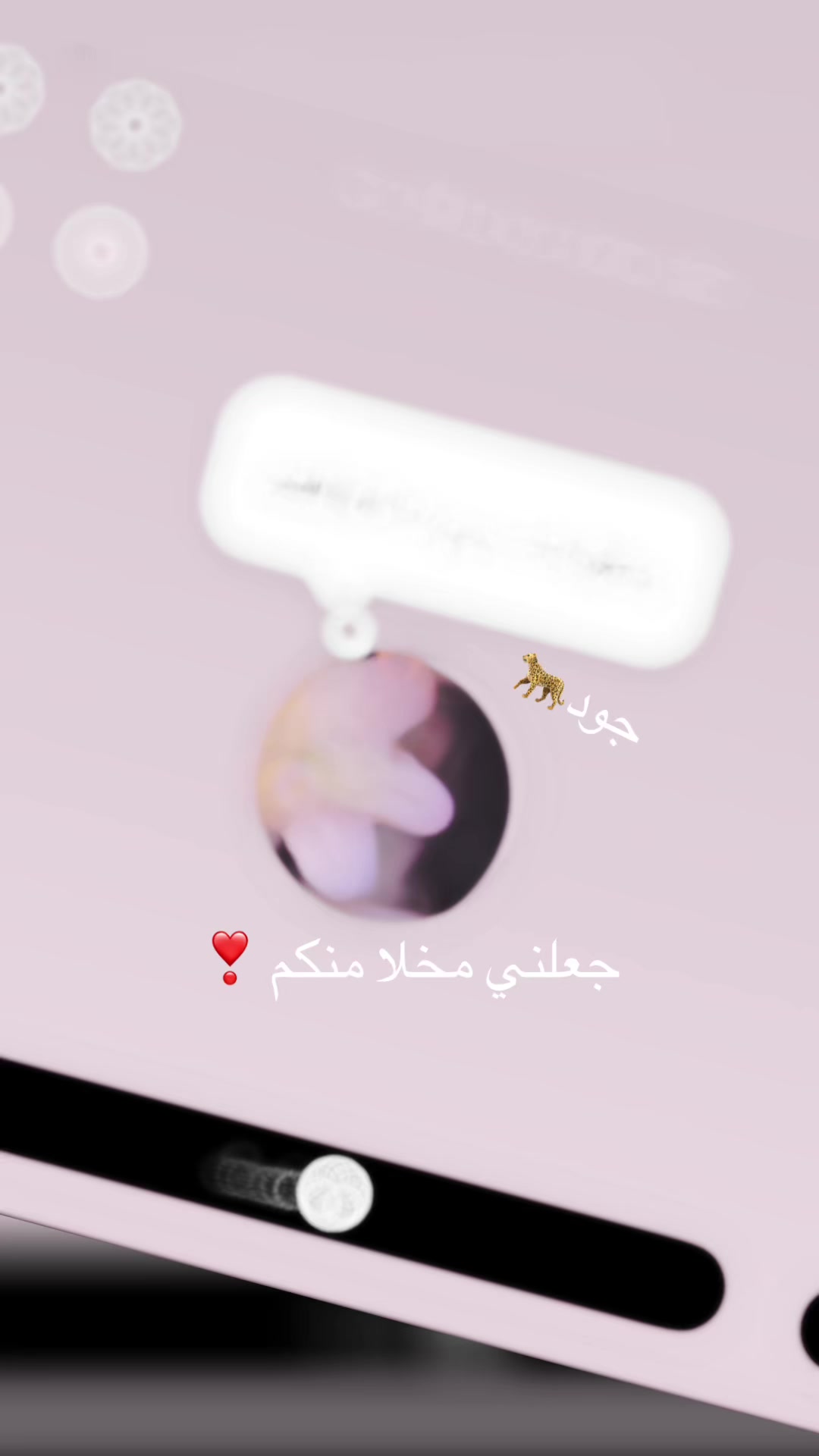 @جود/ الشهراني🐆