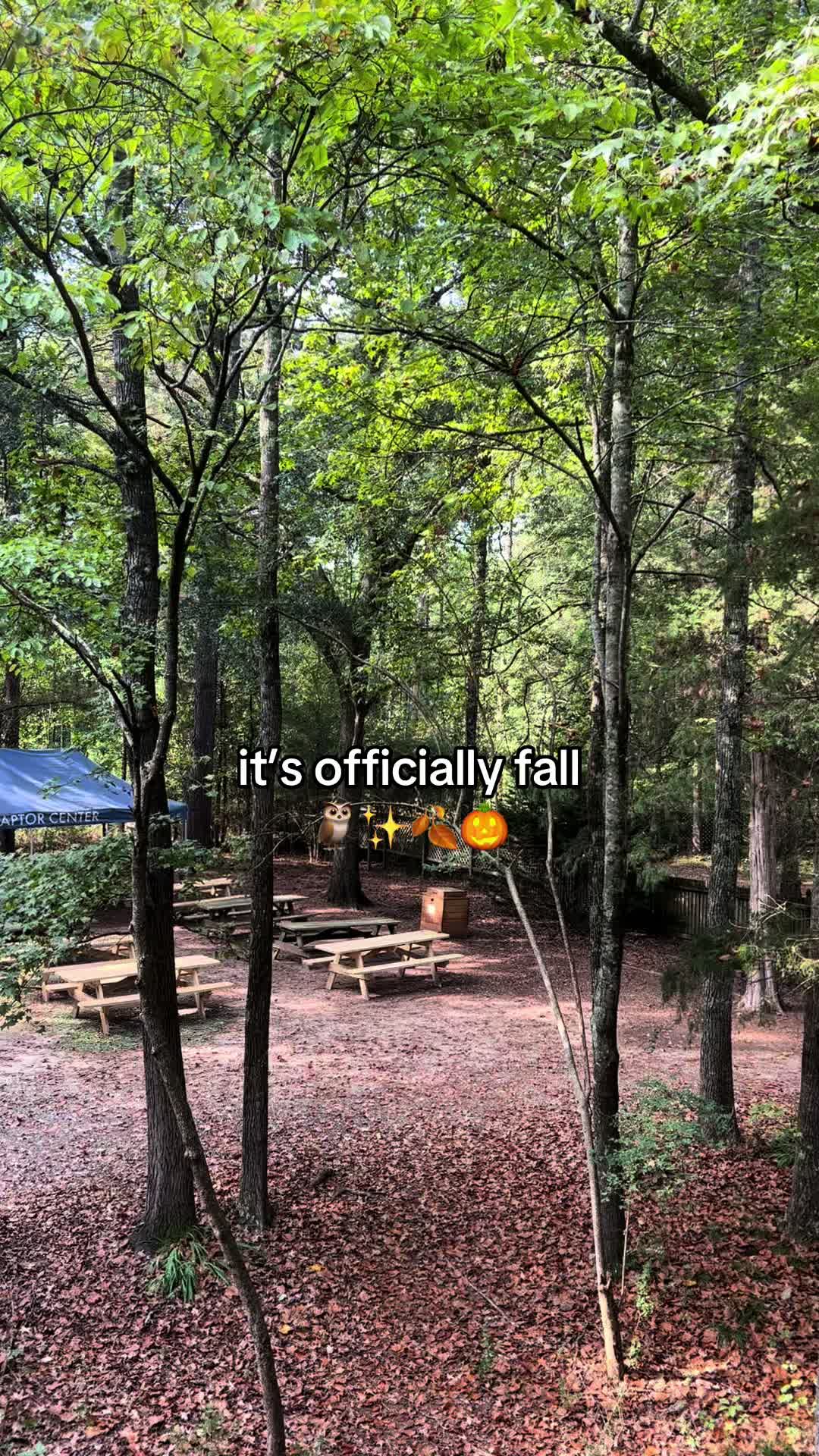 @Carolina Raptor Center